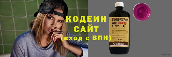 гашик Краснослободск