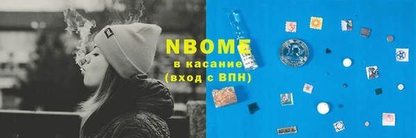 гашик Краснослободск