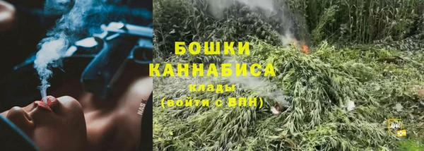 гашик Краснослободск
