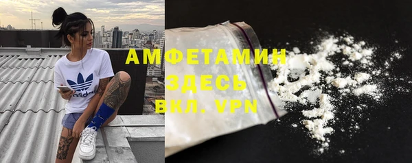 гашик Краснослободск