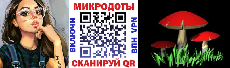 Галлюциногенные грибы Cubensis  где купить наркоту  Малгобек 